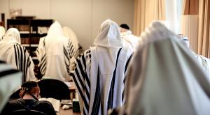אלוסטרציה צילום: shutterstock דעות