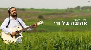 גיל אשר צילום: S&A Video Pro חתונה