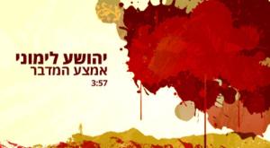 יהושע לימוני צילום: מירב בר לב תרבות