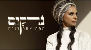 נרקיס - ממה אתה בורח צילום: צילום מסך מיוטיוב מוזיקה