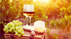 גבינה ויין צילום: shutterstock תזונה