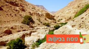  צילום: shutterstock טיולים