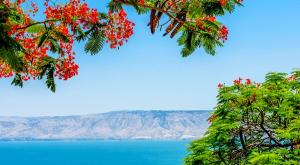 כינרת צילום: shutterstock חדשות