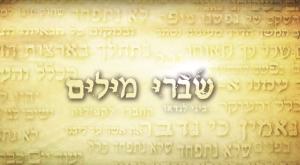 ביני לנדאו -שברי מילים צילום: צילום מסך מוזיקה