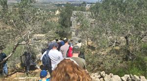 אלפי מטיילים בשומרון צילום: תיירות שומרון חדשות