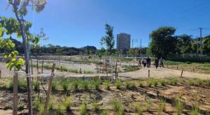 הבריכה החדשה במרכז צילום: עיריית חולון חדשות נדלן