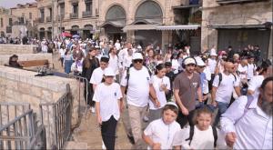 צעדת ירושלים צילום: דוד שושן חדשות