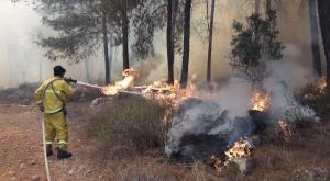 שריפה באזור בית שמש צילום: דוברות כב״ה מחוז ירושלים חדשות
