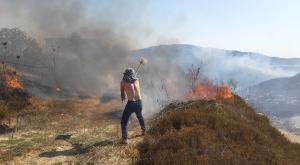 השרפה ביצהר צילום: צבי סוכות חדשות