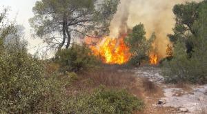 שריפה באזור מטע צילום: כיבוי והצלה חדשות
