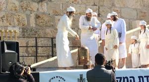 הדגמה של עבודת הכהנים בבית המקדש צילום: אתר חדשות הר הבית פרשת ויגש