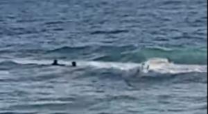 החילוץ מהים בצומת פולג צילום: צילום מסך  חדשות