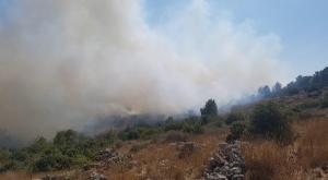 שריפה באזור בית שמש צילום: דוברות כבאות והצלה חדשות