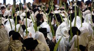 הושענות. תמונות שלא יחזרו השנה.  צילום: Aharon Krohn/Flash90 סוכות
