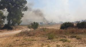 השרפה סמוך לנחשון צילום: דוברות כבאות והצלה בית שמש חדשות
