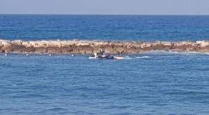 הסריקות אחר הנעדר, הבוקר צילום: דוברות המשטרה חדשות