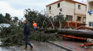 נזקי סערה בצפת. ארכיון צילום: דוד כהן, פלאש 90 דעות