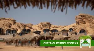 חושות בחופי סיני צילום: הדס פרוש, פלאש 90 סוכות
