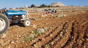 הטרקטור ששימש את הפולשים לחרוש את השטח צילום: תום ניסני חדשות
