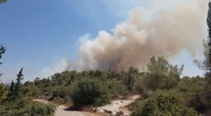 השרפה באזור מטע צילום: כבאות והצלה מחוז ירושלים חדשות
