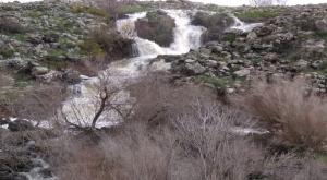 גלישת מאגר דבש במרכז רמת הגולן  צילום: חדשות כיפה תחזית מזג האוויר