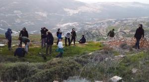 הנטיעות בגבעת קומי אורי צילום: קומי אורי התיישבות
