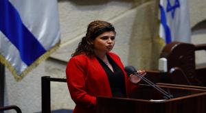 שרן השכל בדיון על חוק הקנאביס צילום: עדינה ולמן, דוברות הכנסת פוליטי
