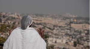  צילום: shutterstock דעות