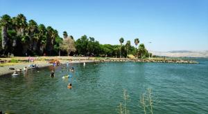 חוף אמנון בכנרת צילום: טלי בר, איגוד ערים כנרת פוליטי