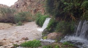 עין מבוע זורם צילום: קובי הלפגוט רשות הטבע והגנים תחזית מזג האוויר