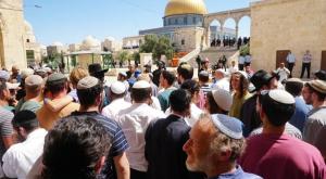 ארכיון צילום: חיים קרויזר, מטה ארגוני המקדש יהדות