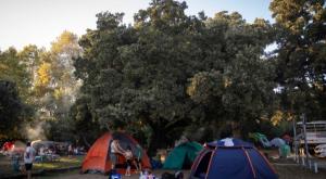 חורשת טל צילום: הדס פרוש, פלאש 90 חדשות