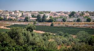 גוש עציון צילום: גרשון אלינסון, פלאש 90 התיישבות