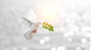 שלום צילום: shutterstock יהדות