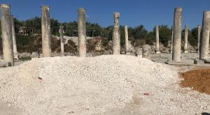 ההשחתה בגן הלאומי בסבסטיה צילום: יאיר אלמקייס התיישבות