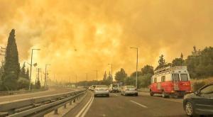 השרפה במבוא מודיעים מכביש 443, אמש צילום: כבאות והצלה לישראל, מחוז מרכז חדשות
