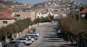 התבצרות מאחורי גדרות. תקוע, אילוסטרציה צילום: הדס פרוש, פלאש 90 התיישבות