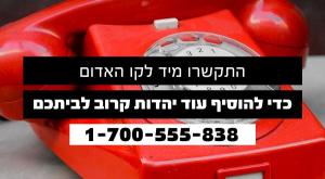  צילום: ללא חדשות