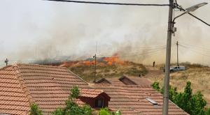  צילום: ללא חדשות