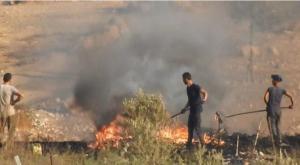  צילום: הפורום ישראל ירוקה התיישבות