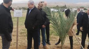 נתניהו בנטיעות בבקעת הירדן  צילום: יח"צ  חדשות