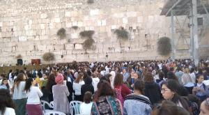  צילום: ללא חדשות