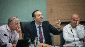 ח"כ זוהר בוועדת הכנסת צילום:  Yonatan Sindel/Flash90 Keywords פוליטי