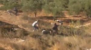העימות בין צוות החדשות לנערי הגבעות צילום: צילום מסך  טלוויזיה