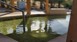 אילוסטרציה צילום: זיו לוי מבזקים