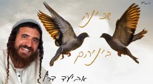  צילום: יוסף בן ישי מוזיקה