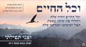  צילום: צילום מסך יוטיוב תרבות