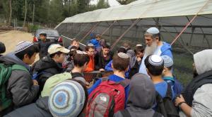 ילדי בנימין בנטיעות צילום: דוברות בנימין חדשות
