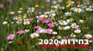יום יפה. צאו להצביע צילום: ענת חרמוני, פלאש 90 תחזית מזג האוויר