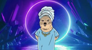 מי זה השפן? גלגלו למטה! צילום: יאיר ורדי ברנז'ה